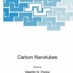 خرید و دانلود نسخه کامل کتاب From Basic Research to Nanotechnology Carbon Nanotubes