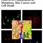 خرید و دانلود نسخه کامل کتاب From DNA photolesions to mutations, skin cancer and cell death