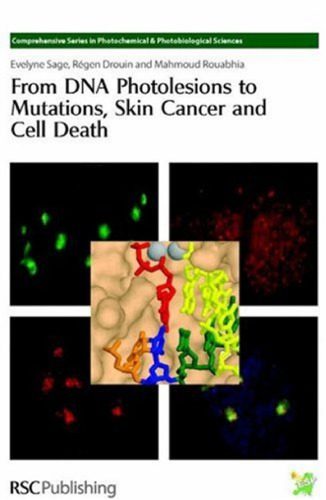 خرید و دانلود نسخه کامل کتاب From DNA photolesions to mutations, skin cancer and cell death_68e6ebded65bf.jpeg خرید و دانلود نسخه کامل کتاب From DNA photolesions to mutations, skin cancer and cell death
