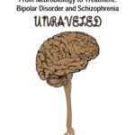 خرید و دانلود نسخه کامل کتاب From Neurobiology to Treatment: Bipolar Disorder and Schizophrenia Unraveled