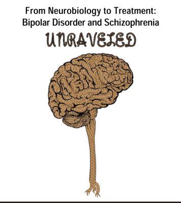 خرید و دانلود نسخه کامل کتاب From Neurobiology to Treatment: Bipolar Disorder and Schizophrenia Unraveled