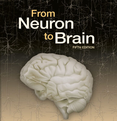 خرید و دانلود نسخه کامل کتاب From Neuron to Brain, Fifth Edition