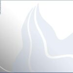 خرید و دانلود نسخه کامل کتاب Fuel Cell Seminar november