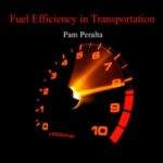 خرید و دانلود نسخه کامل کتاب Fuel Efficiency in Transportation