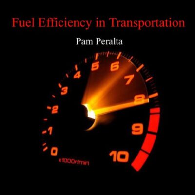 خرید و دانلود نسخه کامل کتاب Fuel Efficiency in Transportation