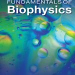 خرید و دانلود نسخه کامل کتاب Fundamentals of Biophysics