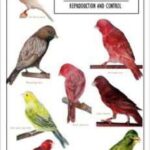 خرید و دانلود نسخه کامل کتاب Fundamentals of Color Genetics in Canaries: Reproduction and Control