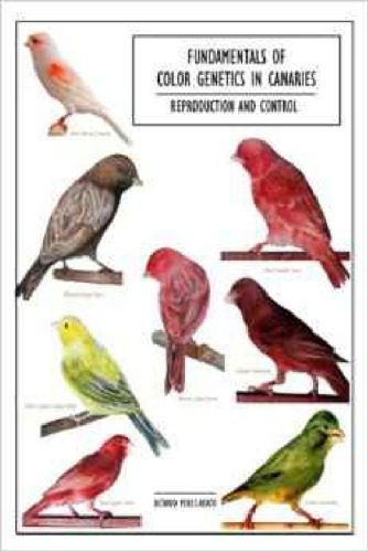 خرید و دانلود نسخه کامل کتاب Fundamentals of Color Genetics in Canaries: Reproduction and Control_68e6cf5c62522.jpeg خرید و دانلود نسخه کامل کتاب Fundamentals of Color Genetics in Canaries: Reproduction and Control