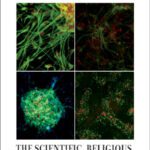خرید و دانلود نسخه کامل کتاب Fundamentals of the Stem Cell Debate: The Scientific, Religious, Ethical, and Political Issues