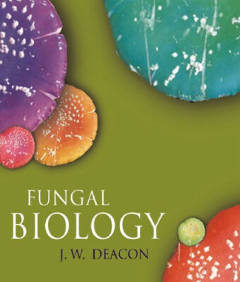 خرید و دانلود نسخه کامل کتاب Fungal biology
