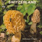 خرید و دانلود نسخه کامل کتاب Fungi of Switzerland. A contribution to the knowledge of the fungal flora of Switzerland (6-volume set)