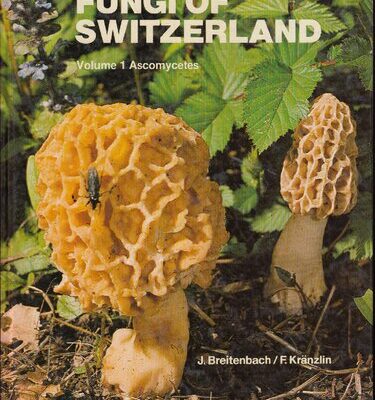 خرید و دانلود نسخه کامل کتاب Fungi of Switzerland. A contribution to the knowledge of the fungal flora of Switzerland (6-volume set)