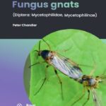 خرید و دانلود نسخه کامل کتاب Fungus gnats (Diptera Mycetophilidae Mycetophilinae)