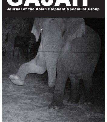 خرید و دانلود نسخه کامل کتاب GAJAH – 42