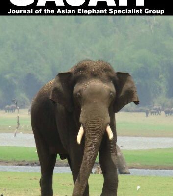 خرید و دانلود نسخه کامل کتاب GAJAH – 44