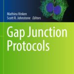 خرید و دانلود نسخه کامل کتاب Gap Junction Protocols