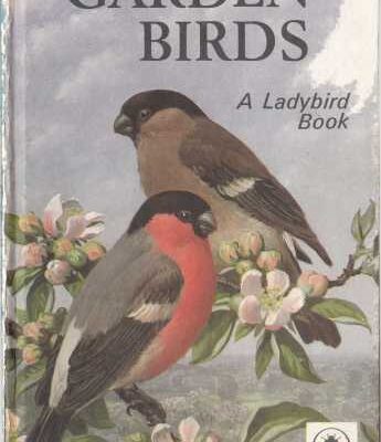 خرید و دانلود نسخه کامل کتاب Garden Birds