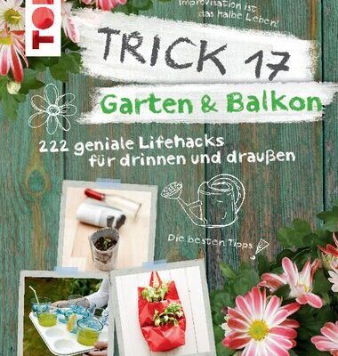 خرید و دانلود نسخه کامل کتاب Garten & Balkon : 272 Lifehacks für drinnen & draußen