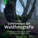 خرید و دانلود نسخه کامل کتاب Geheimnisse der Waldfotografie: Die faszinierende Welt der Bäume verstehen und stimmungsvoll in Szene setzen