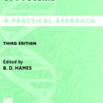 خرید و دانلود نسخه کامل کتاب Gel Electrophoresis of Proteins: A Practical Approach (Practical Approach Series)