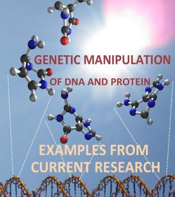 خرید و دانلود نسخه کامل کتاب Genetic Manipulation of DNA and Protein Examples from Current Research