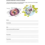 خرید و دانلود نسخه کامل کتاب Genetica [uploader too lazy to write any info]