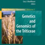 خرید و دانلود نسخه کامل کتاب Genetics and Genomics of the Triticeae