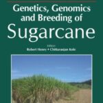 خرید و دانلود نسخه کامل کتاب Genetics, Genomics and Breeding of Sugarcane (Genetics, Genomics and Breeding of Crop Plants)