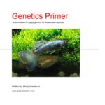 خرید و دانلود نسخه کامل کتاب Genetics Primer: An introduction to guppy genetics for the absolute beginner.