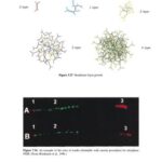 خرید و دانلود نسخه کامل کتاب Genetics