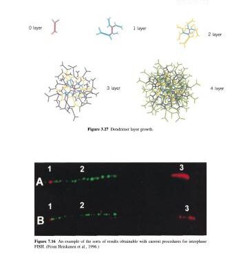خرید و دانلود نسخه کامل کتاب Genetics