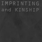 خرید و دانلود نسخه کامل کتاب Genomic Imprinting and Kinship