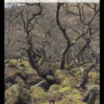 خرید و دانلود نسخه کامل کتاب Geoecology: An Evolutionary Approach