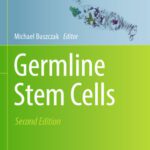 خرید و دانلود نسخه کامل کتاب Germline Stem Cells