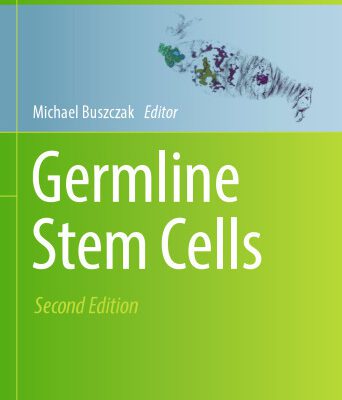 خرید و دانلود نسخه کامل کتاب Germline Stem Cells