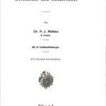 خرید و دانلود نسخه کامل کتاب Geschlecht und Kinderliebe