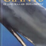 خرید و دانلود نسخه کامل کتاب Giants of Land, Sea & Air, Past & Present