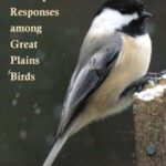 خرید و دانلود نسخه کامل کتاب Global Warming and Population Responses among Great Plains Birds
