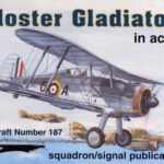 خرید و دانلود نسخه کامل کتاب Gloster Gladiator