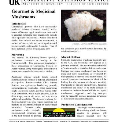 خرید و دانلود نسخه کامل کتاب Gourmet & Medicinal mushrooms