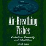 خرید و دانلود نسخه کامل کتاب Graham Air-Breathing Fishes-Evolution Diversity and Adaptation