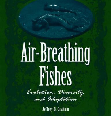 خرید و دانلود نسخه کامل کتاب Graham Air-Breathing Fishes-Evolution Diversity and Adaptation