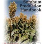 خرید و دانلود نسخه کامل کتاب Grain Sorghum Production Handbook