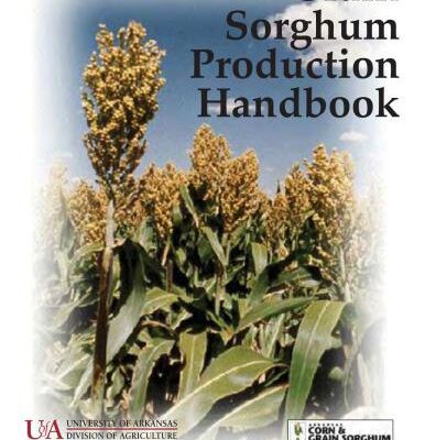 خرید و دانلود نسخه کامل کتاب Grain Sorghum Production Handbook