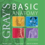 خرید و دانلود نسخه کامل کتاب Gray’s Basic Anatomy