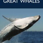 خرید و دانلود نسخه کامل کتاب Great Whales