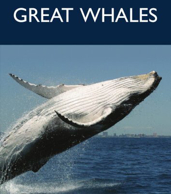 خرید و دانلود نسخه کامل کتاب Great Whales
