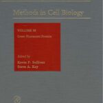 خرید و دانلود نسخه کامل کتاب Green Fluorescent Proteins