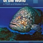 خرید و دانلود نسخه کامل کتاب Groupers of the World : A Field and Market Guide