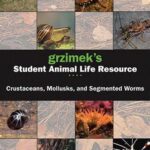 خرید و دانلود نسخه کامل کتاب Grzimek’s Student Animal Life Resource. Crustaceans, Mollusks, And Segmented Worms